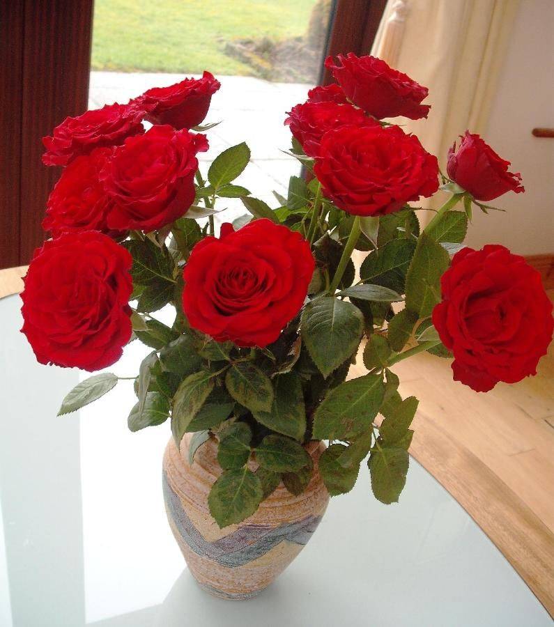 Фото  Maryville Bed and Breakfast Нина 16